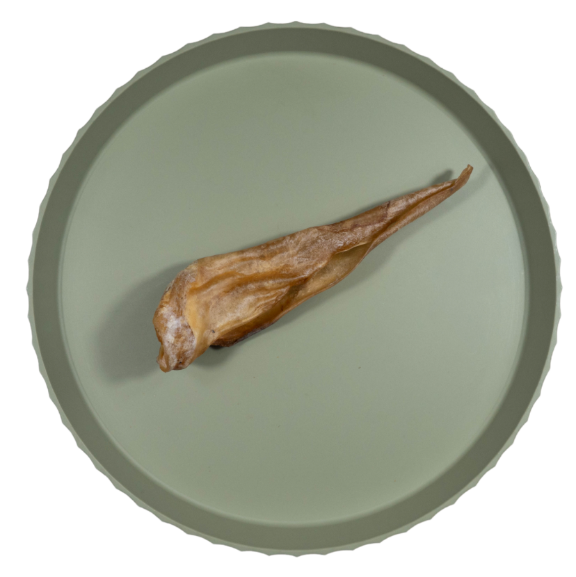 Paarden oor | per stuk