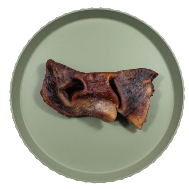 Runderneus | 15-20 cm | per stuk