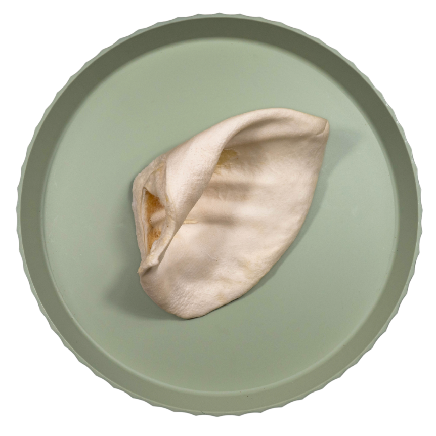 Varkensoor Gepoft | per stuk