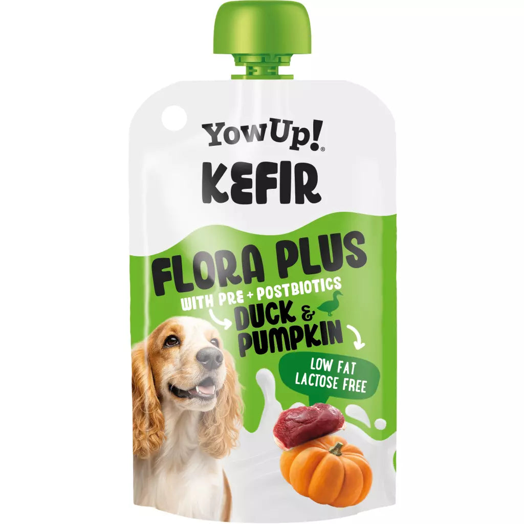 YowUp! | Kefir | Yoghurt | Eend & Pompoen | 115 gr