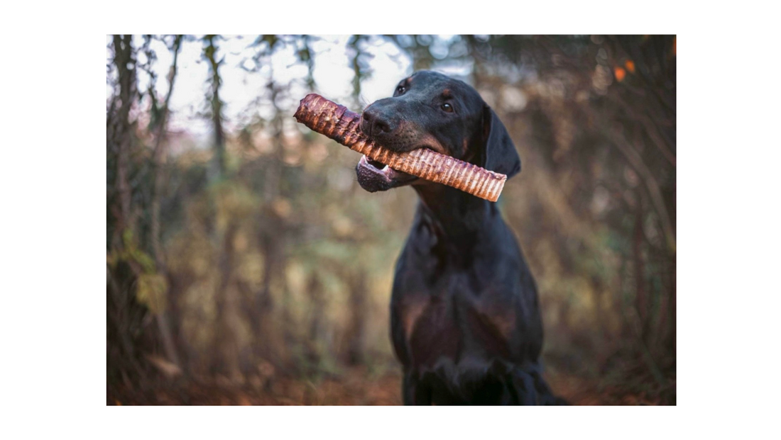 natuurlijke hondensnacks