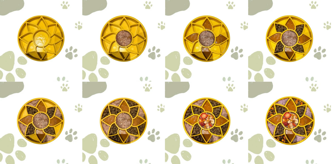 Slowfeeder vullen: tips en ideeën met natuurlijke hondentoppings