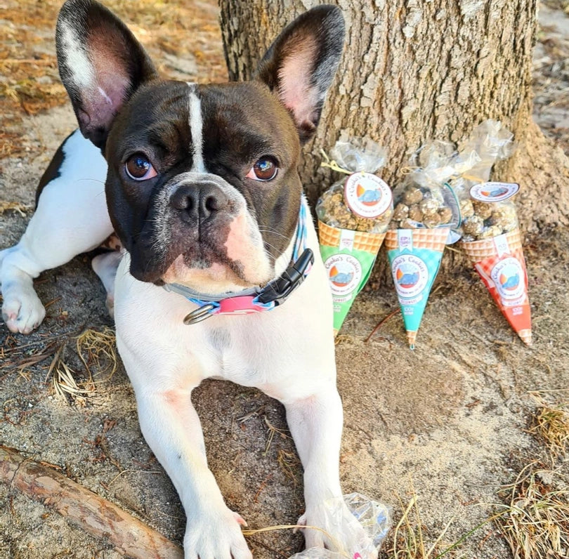 Cooka's Cookies | Kalkoen | 50 gr