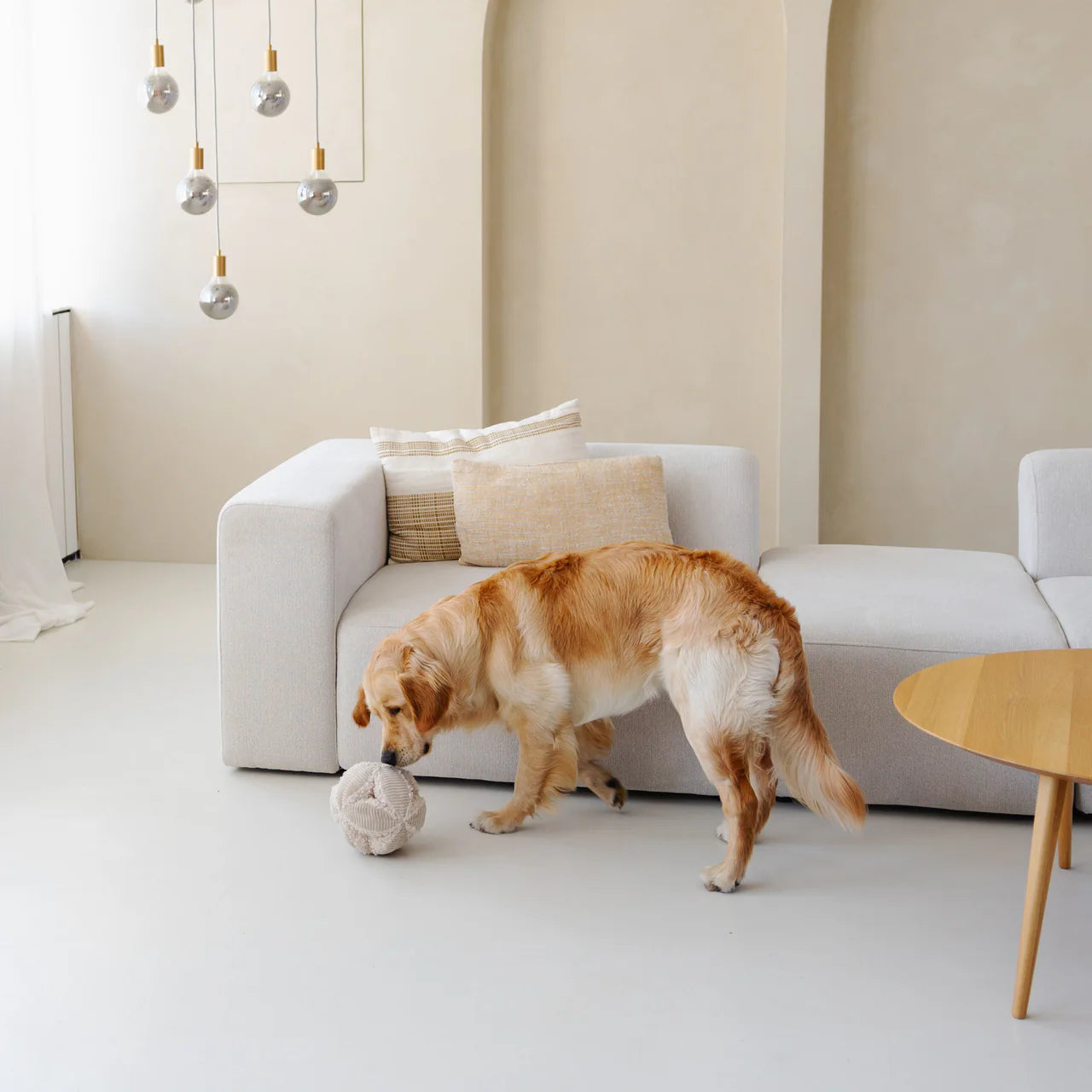 District 70 | Bobby | Snuffelbal | Taupe