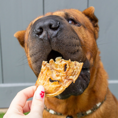 Lamb Snouts | 5 pieces