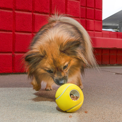 Kong | Rewards Tennisbal