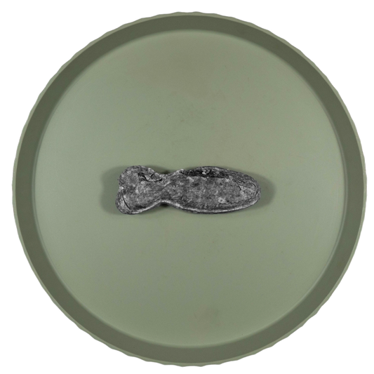 Geperst Kabeljauwhuid Bot | 12 cm | per stuk