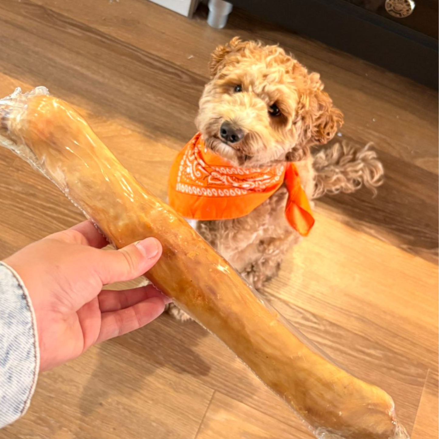 Kaninchenfellrolle | 40 cm | pro Stück