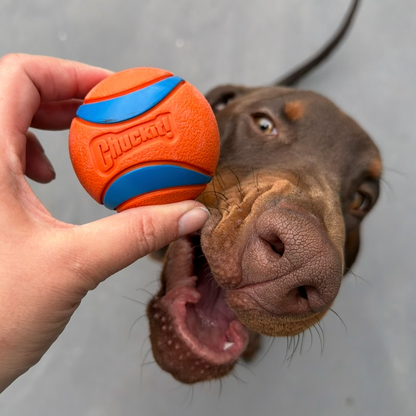 Chuckit! | Ultra Ball