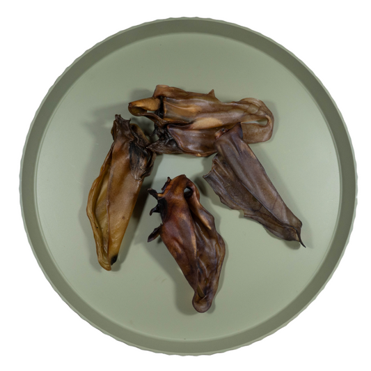 Kamelen oor | per stuk