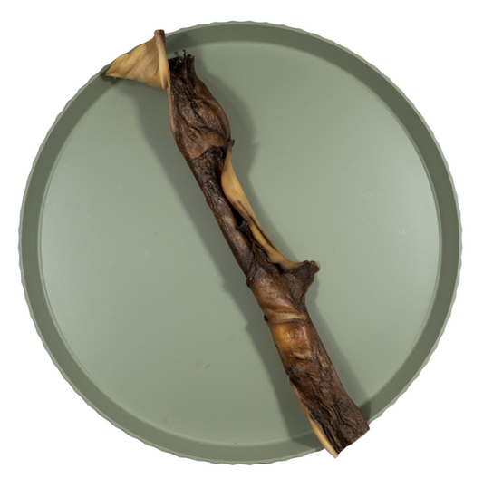 Kamelenkophuid | 40 cm | per stuk