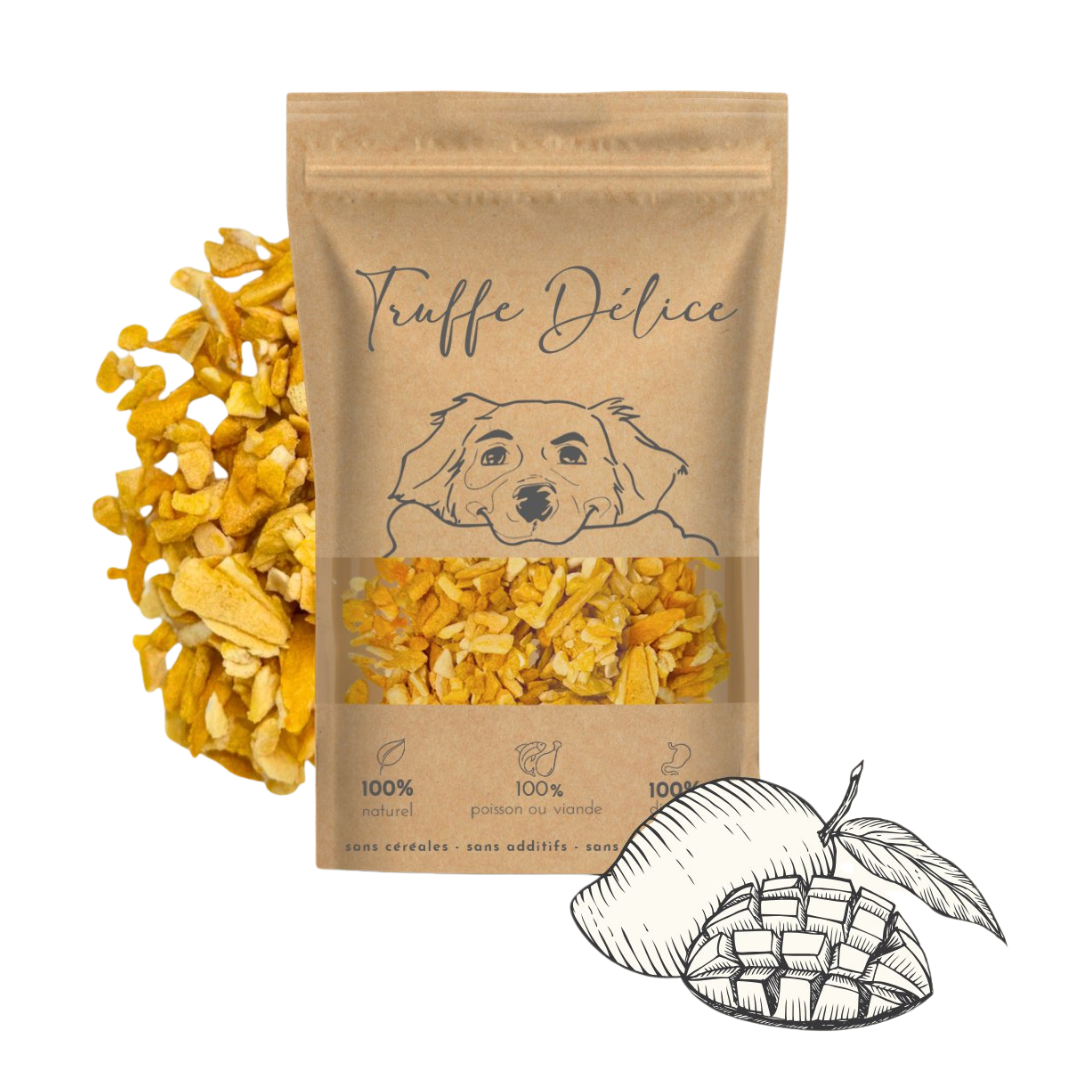 Truffe Délice | Gedroogde Mango | 100 gr