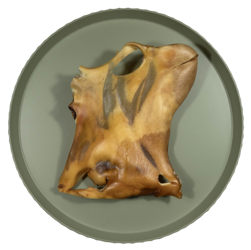 Runderkophuidplaat M | 225-270 gr | per stuk