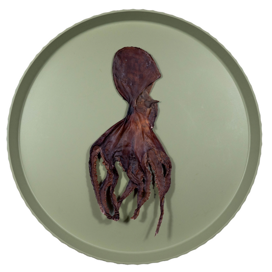 Inktvis S | 60-70 gr