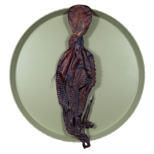 Inktvis M | 75-85 gr