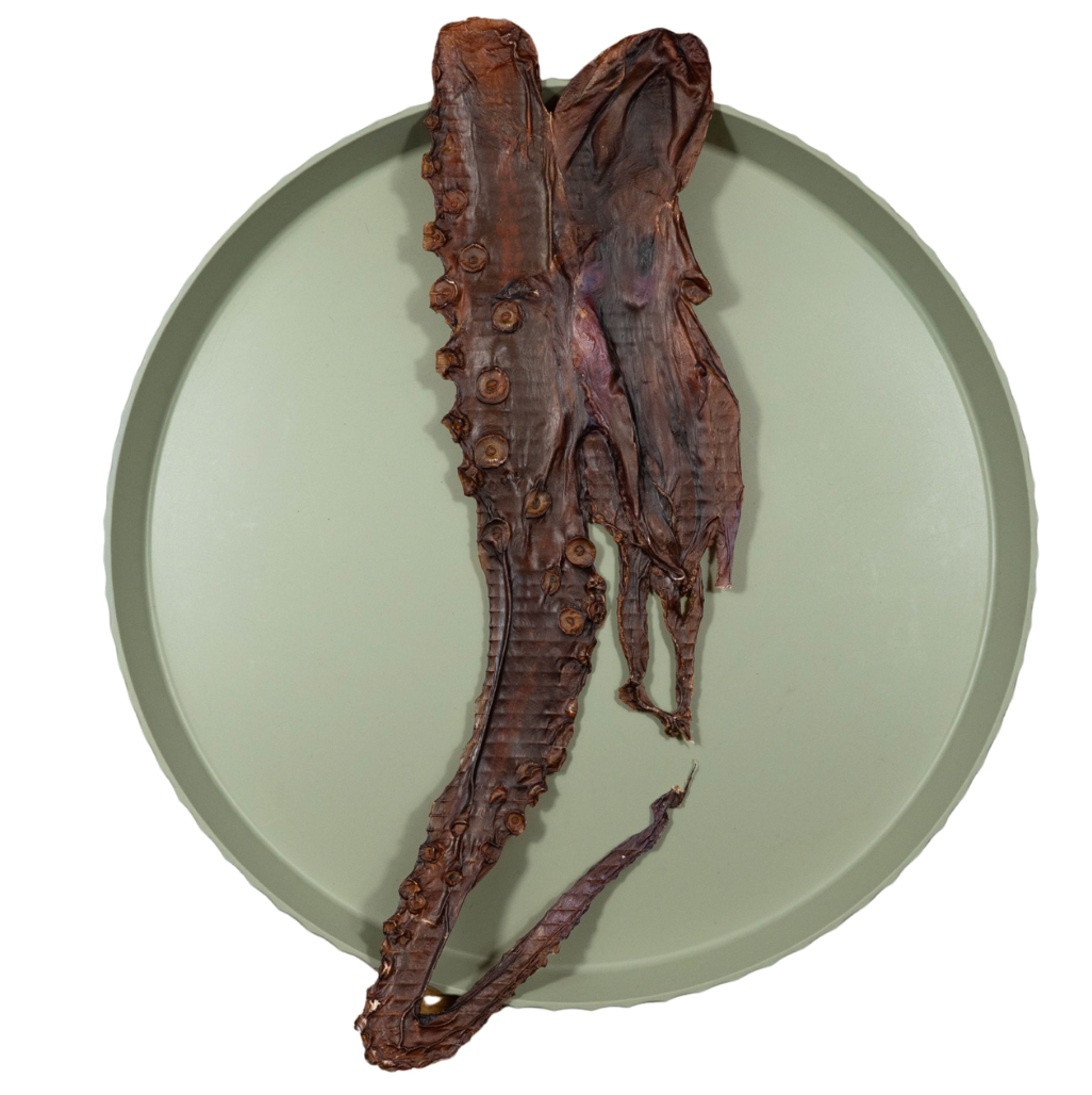 Inktvis L | 95-105 gr