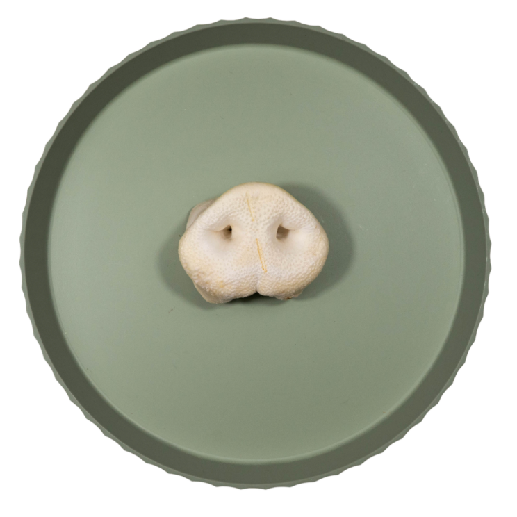 Gepofte Varkensneus | per stuk