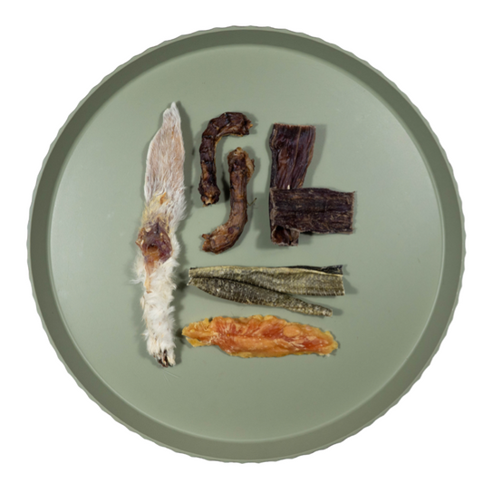 Taste Test Mix voor Pups