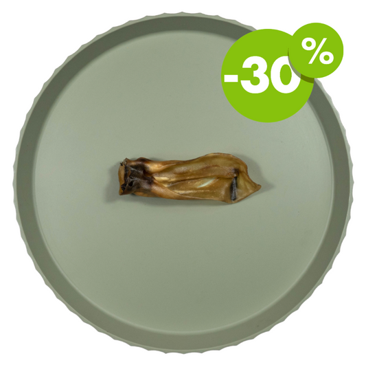 Kamelen oor | 2e keus