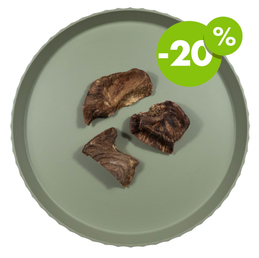 Tonijn Mooten | 100 gr