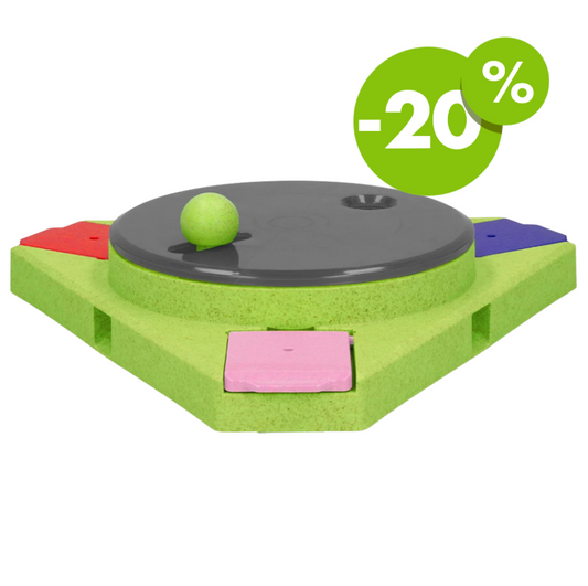 Eat Slow Live Longer | Puzzle Triangle