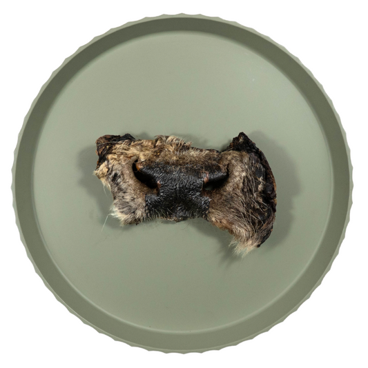 Runderneus met vacht | 15-20 cm | per stuk