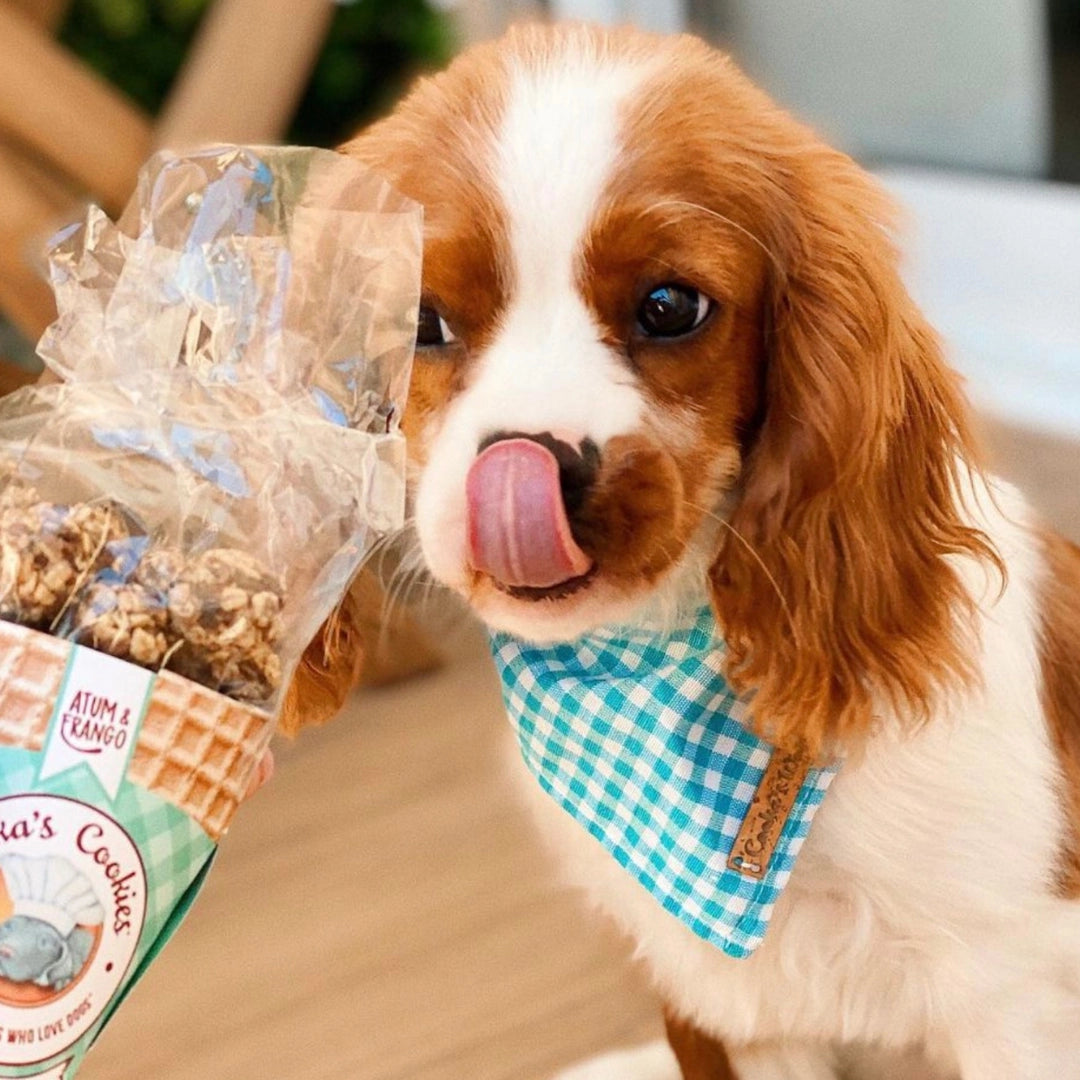 Cooka's Cookies | Kip en Tonijn | 50 gr